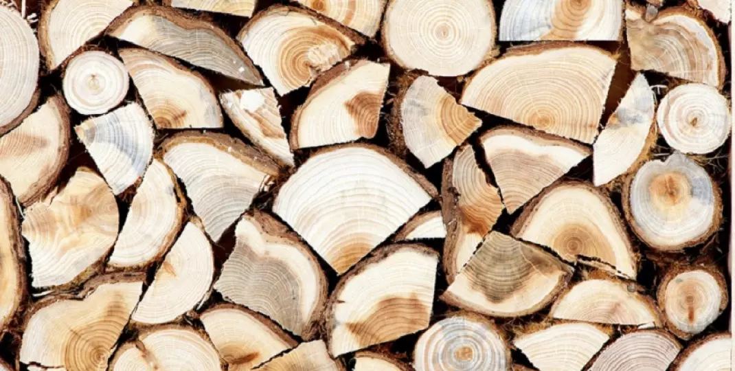 Jak prawidłowo przygotować drewno na opał? Część I: Wybierz pilarkę idealną!